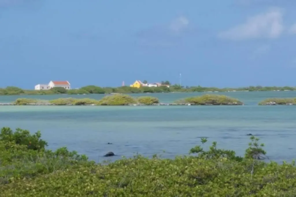 Bamba From Bonaire Apartment Kralendijk