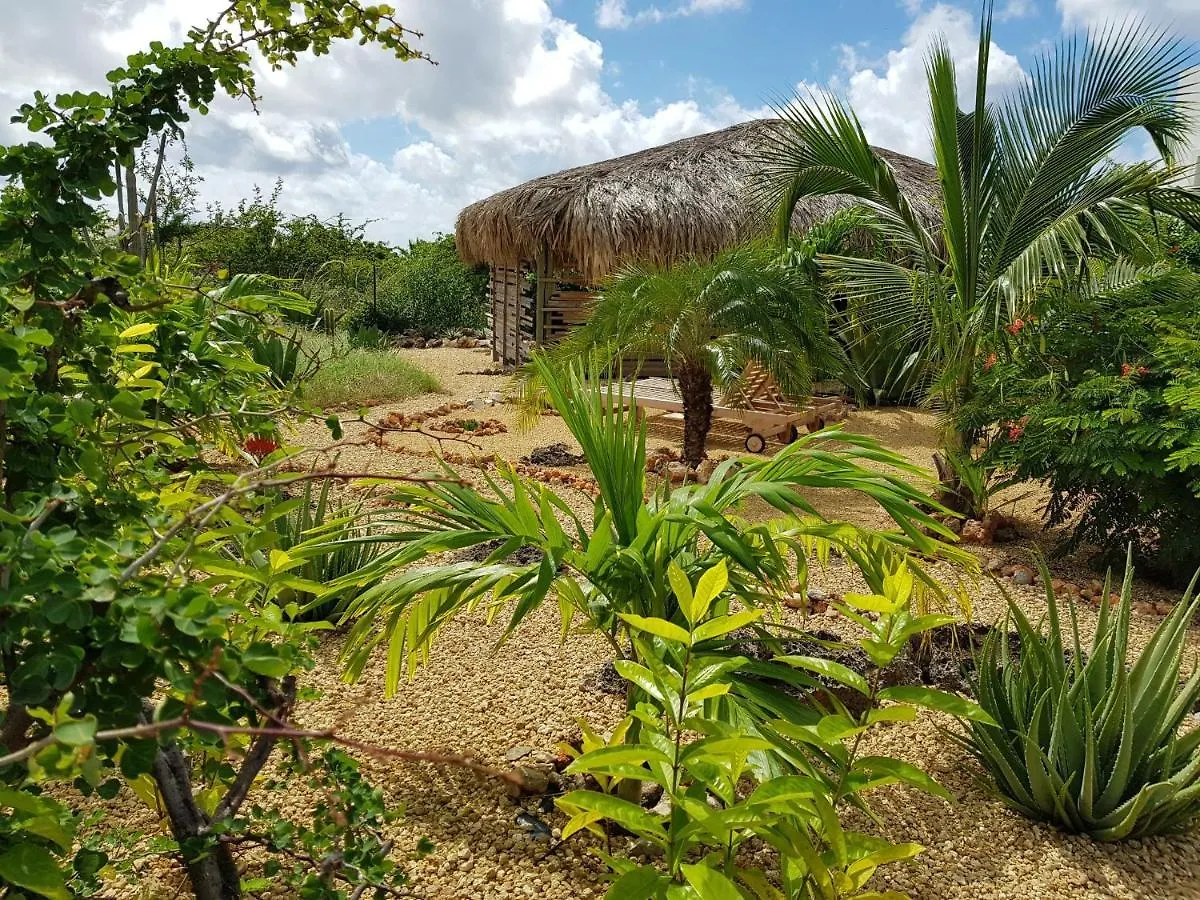 Bamba From Bonaire Apartment Kralendijk