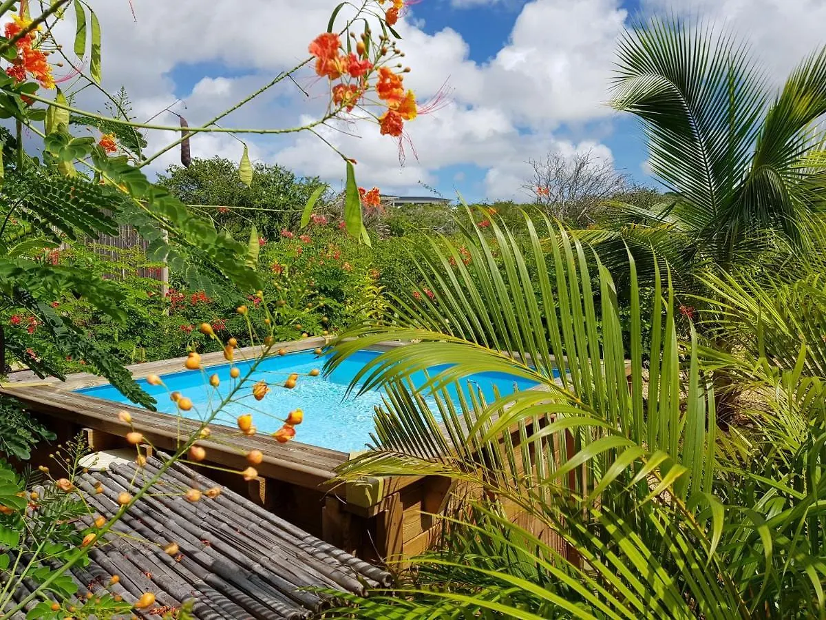 Bamba From Bonaire Apartment Kralendijk