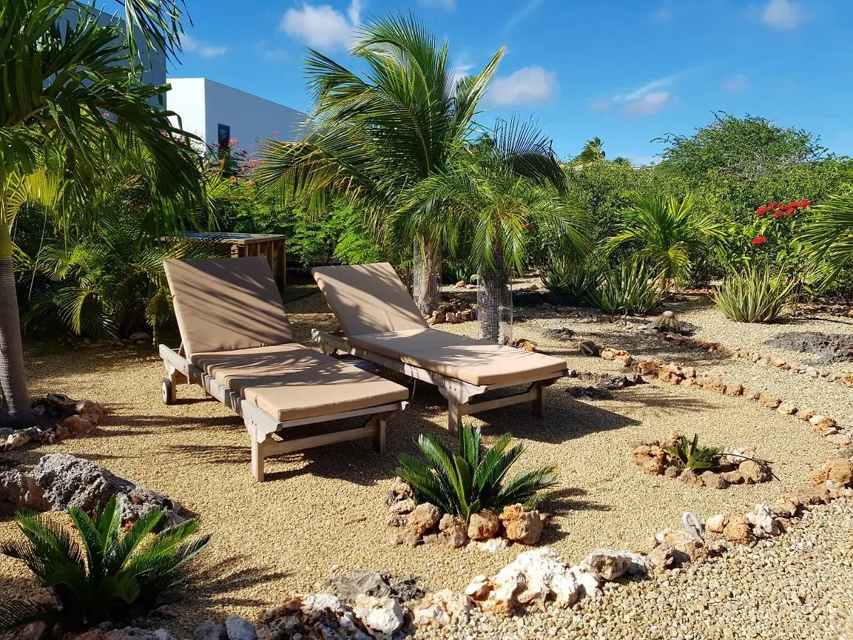Bamba From Bonaire Apartment Kralendijk