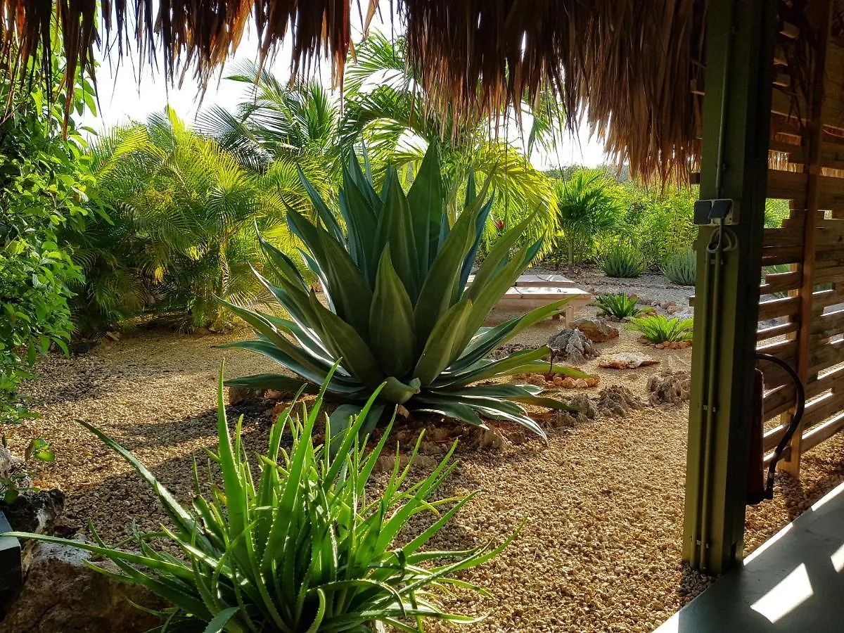 Ferienwohnung Bamba From Bonaire Playa Bonaire, Sint Eustatius und Saba