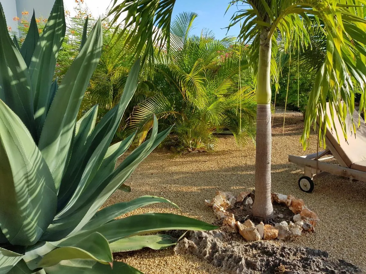 Apartment Ferienwohnung Bamba From Bonaire Playa