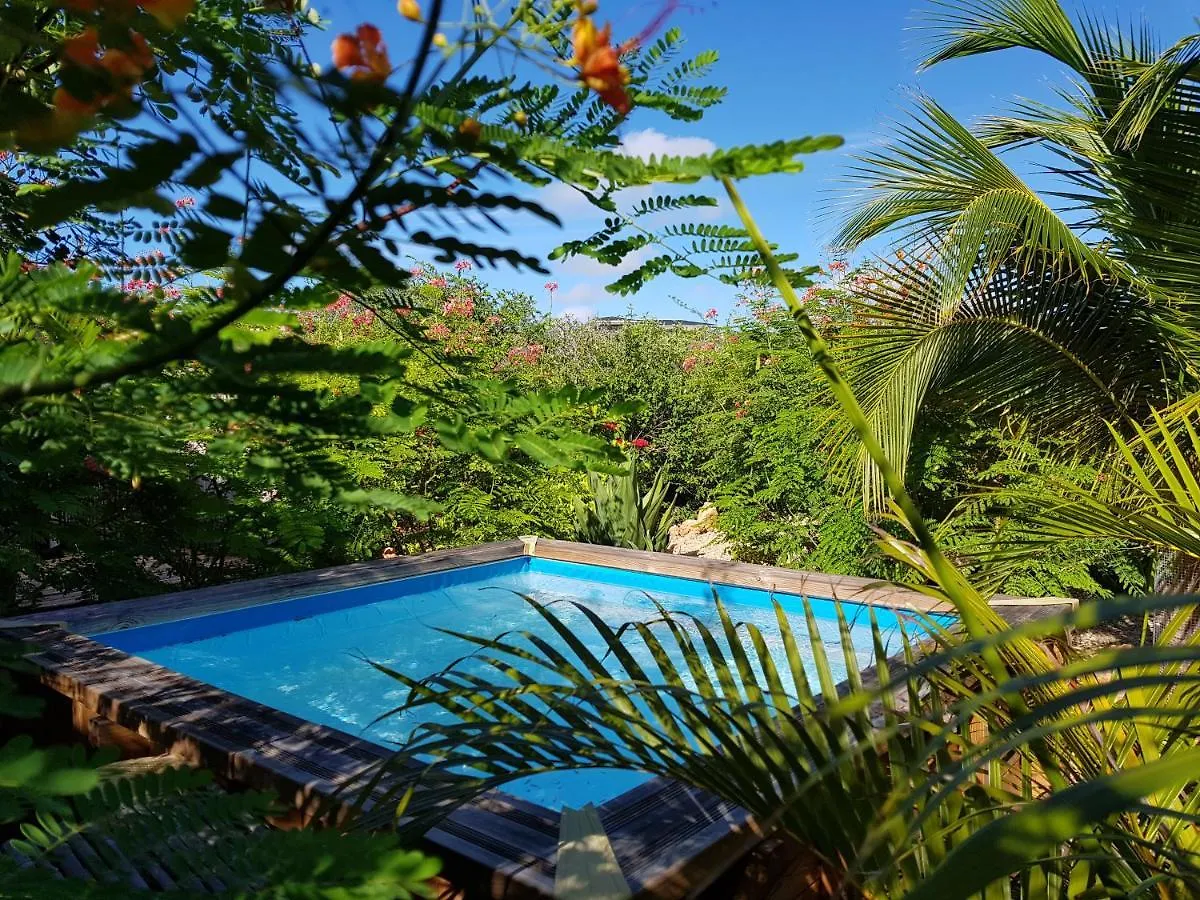 Ferienwohnung Bamba From Bonaire Playa 0*,